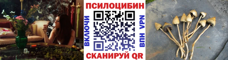 Купить закладки  Кирс  Галлюциногенные грибы прущие грибы 